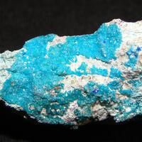Caledonite & Chlorargyrite