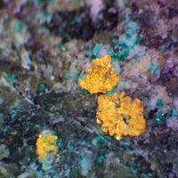 Native Gold & Atacamite