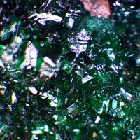 Paratacamite