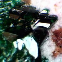 Paratacamite