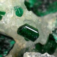 Antlerite
