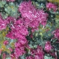 Erythrite
