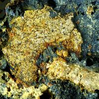 Gold & Uraninite & Brannerite