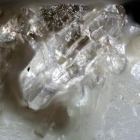 Behoite