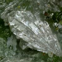 Mallestigite