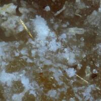 Potassic-jeanlouisite