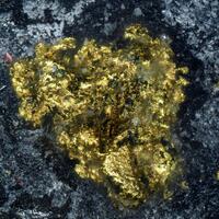 Gold On Uraninite