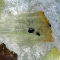 Mangangordonite