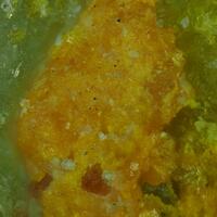 Uranosphaerite