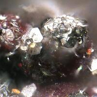 Eddavidite