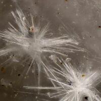 Micheelsenite