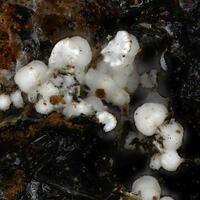 Alumohydrocalcite
