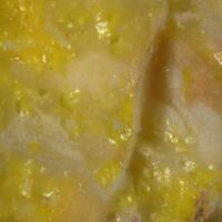 Upalite