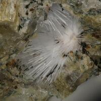 Rhodesite