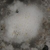 Uklonskovite
