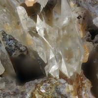 Whewellite
