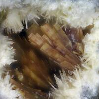 Parsonsite