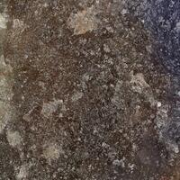 Burbankite