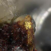 Gold With Tetradymite