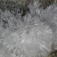 Ferrinatrite