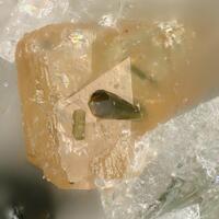 Guarinite