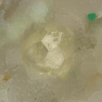 Powellite