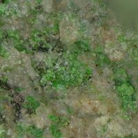 Francisite