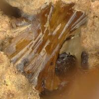 Ushkovite