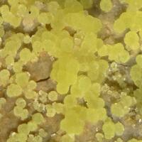 Boltwoodite