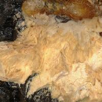 Evansite