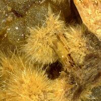 Cervantite