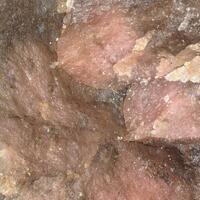Leucophoenicite