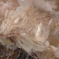 Zorite