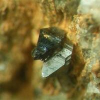 Anatase