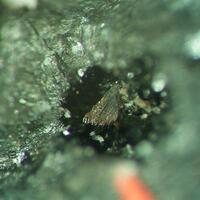 Krettnichite