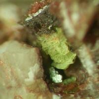 Uranocircite