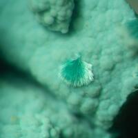 Agardite-(Y)