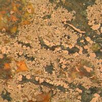 Native Copper In Prehnite