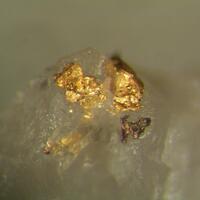 Native Gold In Quartz