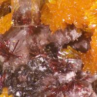 Hutchinsonite & Orpiment