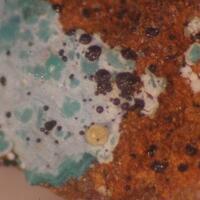 Manganosite