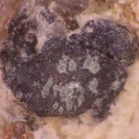 Wittichenite