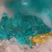 Dioptase & Wulfenite