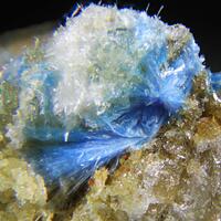 Whelanite & Stringhamite