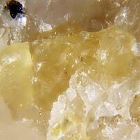 Magnesiostaurolite