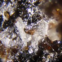 Nasonite & Manganophyllite