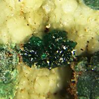 Paratacamite-(Ni) Glaukosphaerite & Hydrohonessite