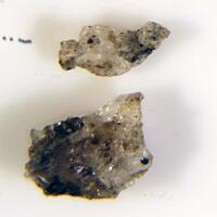 Dittmarite