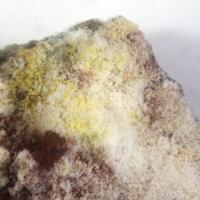 Mohrite