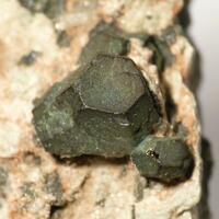 Bornite